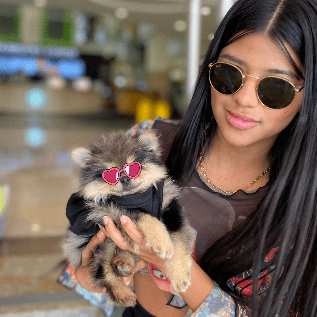 Clientes-Pomerania-2